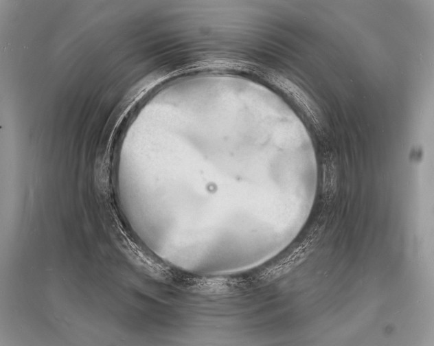 X0000096390828200801241300