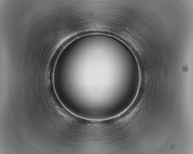 X0000096390830200801241300