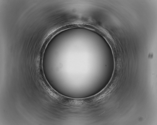 X0000096390831200801241300