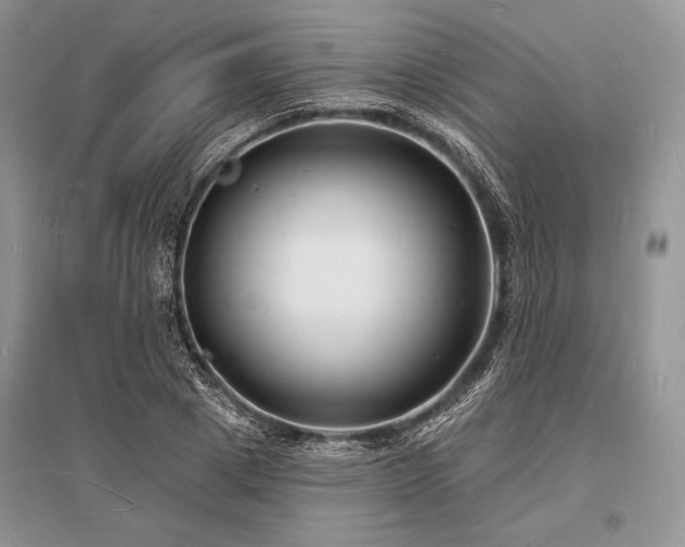X0000096390833200801241300