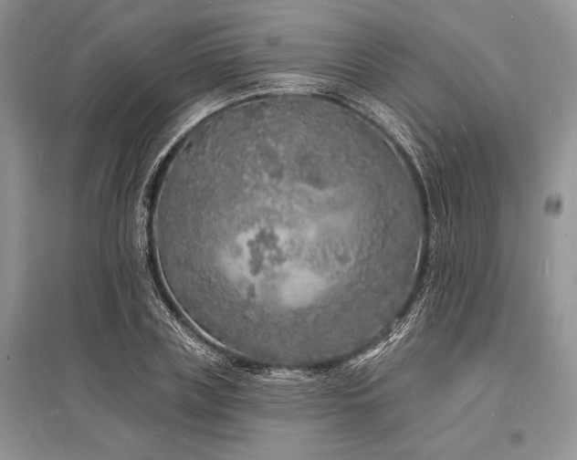 X0000096390835200801241300