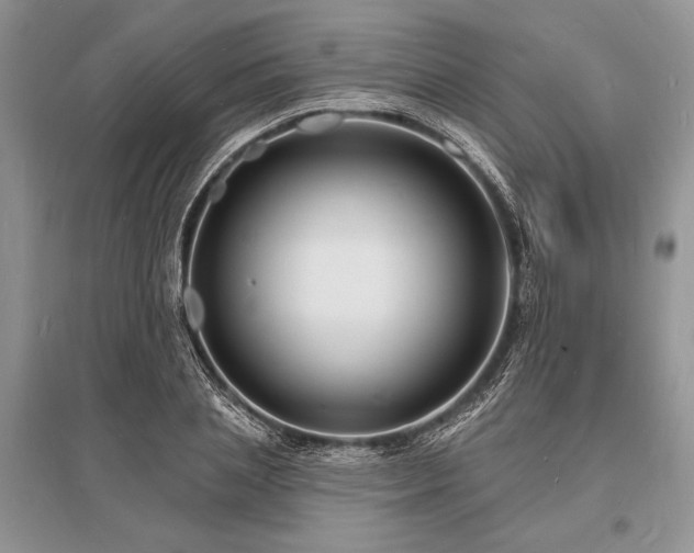 X0000096390837200801241300