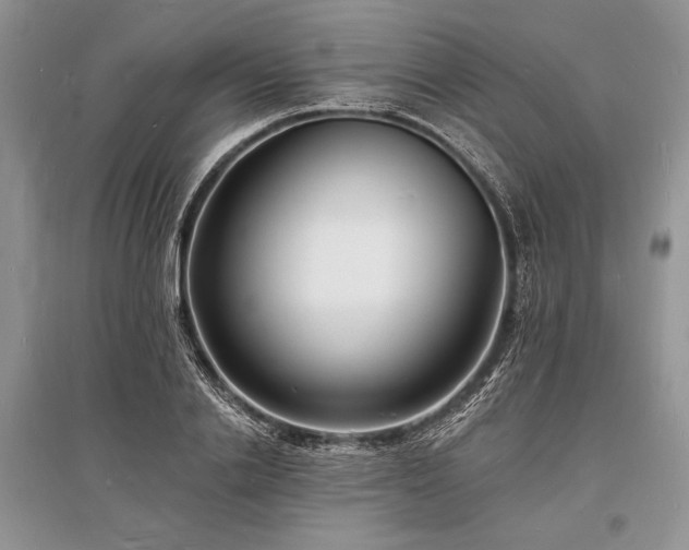 X0000096390838200801241300