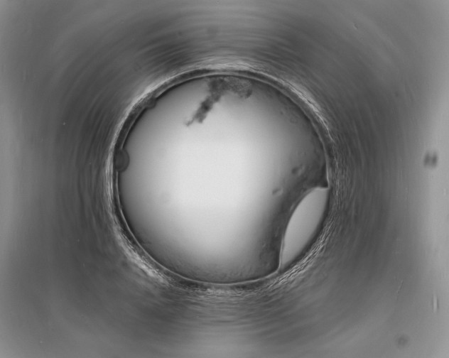 X0000096390840200801241300