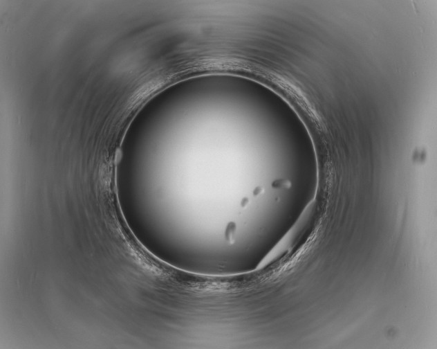 X0000096390841200801241300