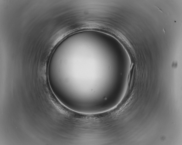 X0000096390842200801241300