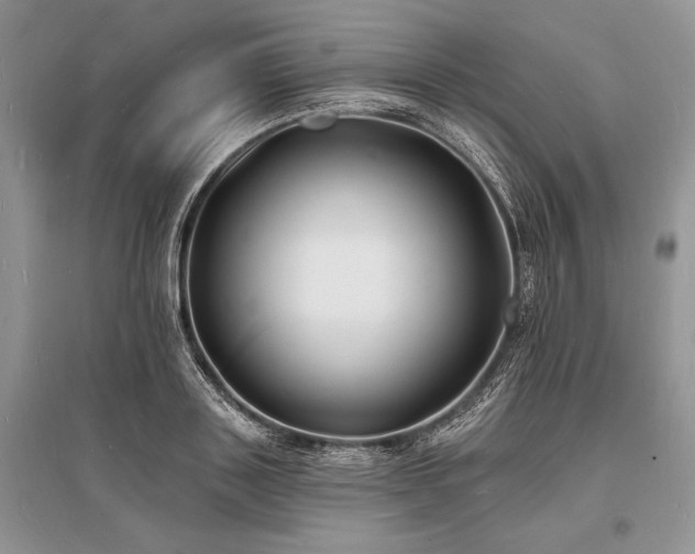 X0000096390843200801241300