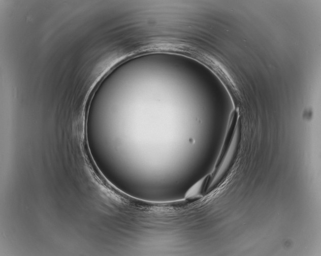 X0000096390844200801241300