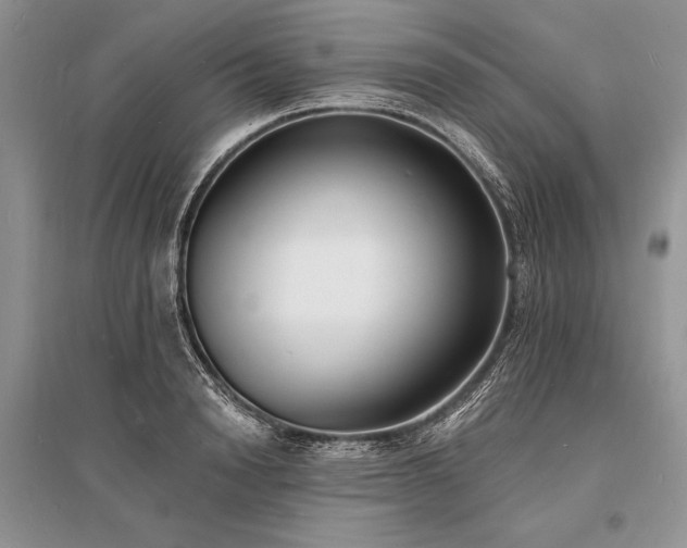 X0000096390846200801241300