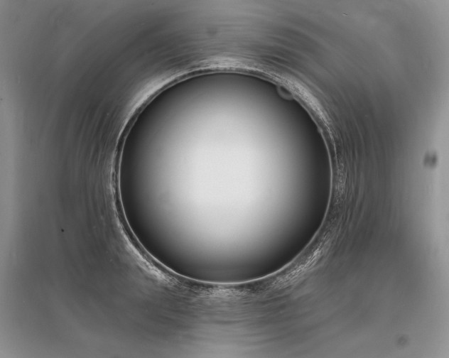 X0000096390847200801241300