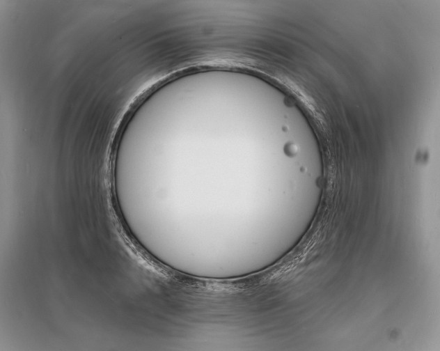 X0000096390848200801241300