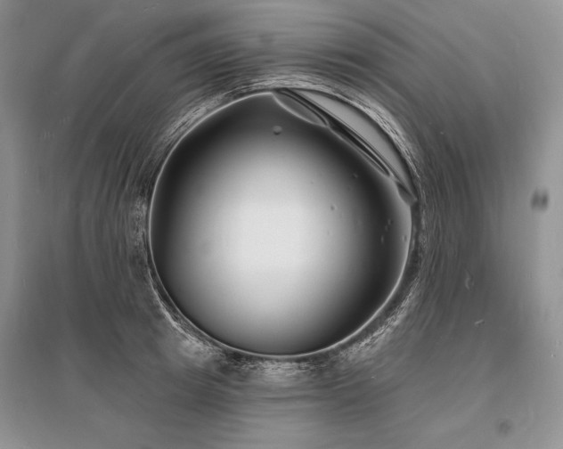 X0000096390849200801241300