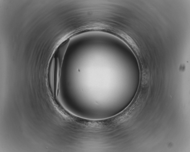 X0000096390850200801241300