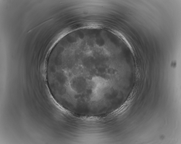 X0000096390851200801241300