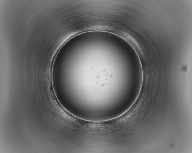 X0000096390852200801241300