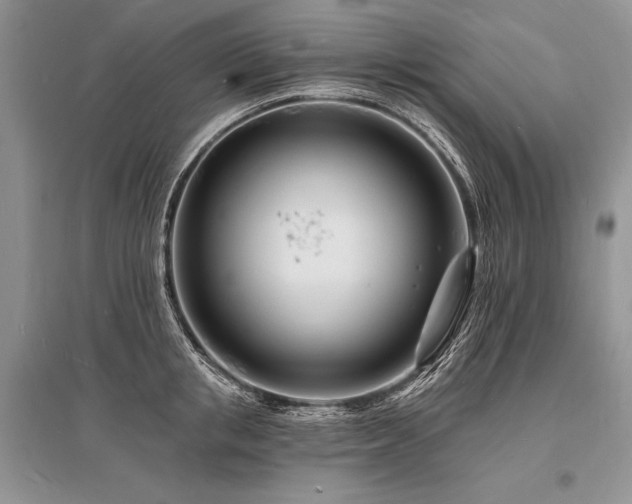 X0000096390853200801241300