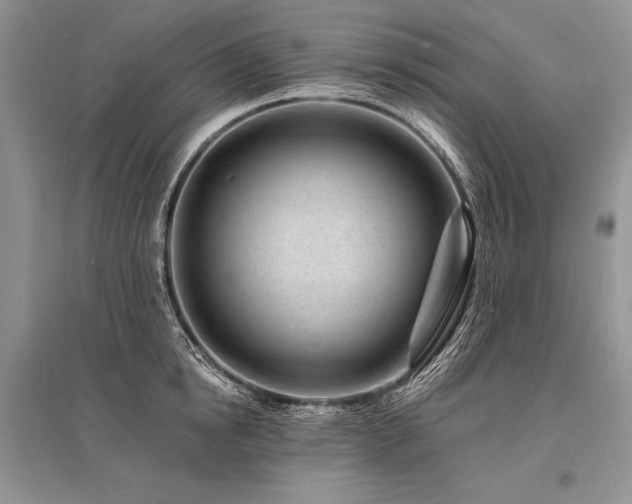 X0000096390854200801241300