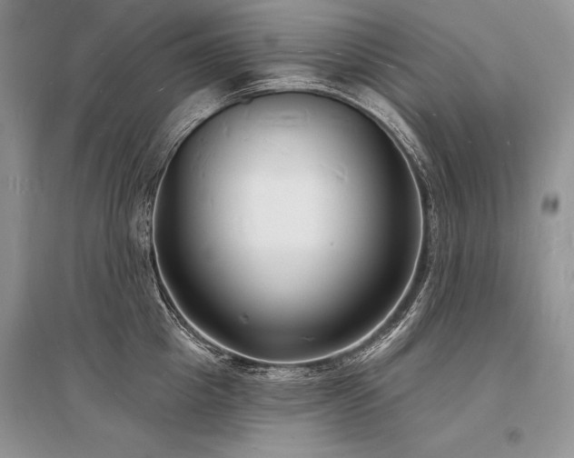 X0000096390857200801241300