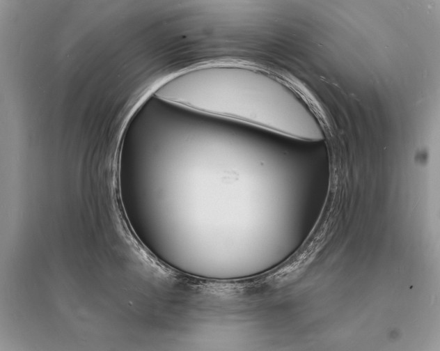 X0000096390860200801241300
