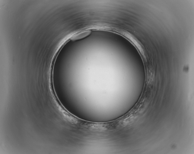 X0000096390861200801241300