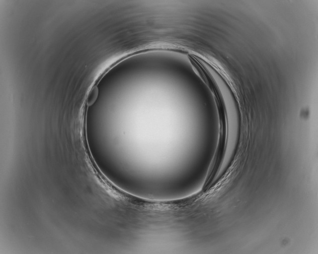 X0000096390862200801241300