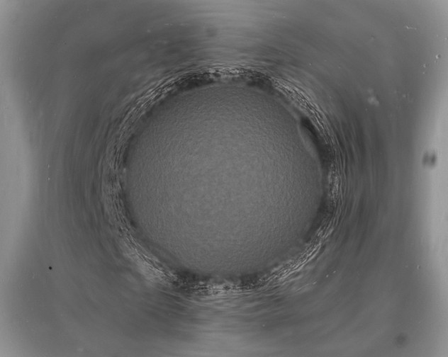 X0000096390865200801241300