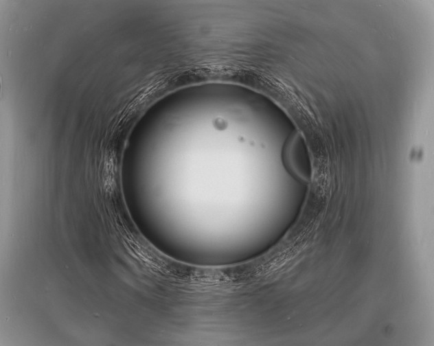 X0000096390866200801241259