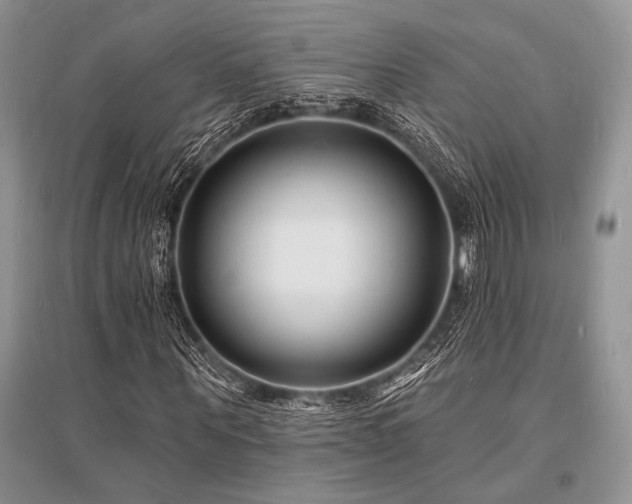 X0000096390867200801241259