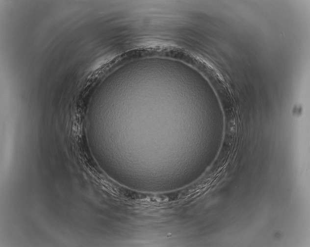 X0000096390869200801241259