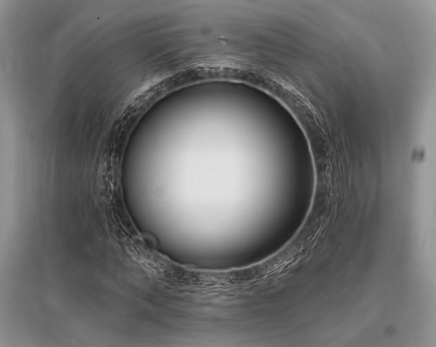 X0000096390870200801241259