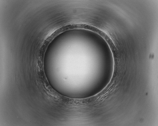 X0000096390871200801241259