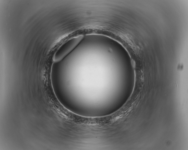 X0000096390872200801241259