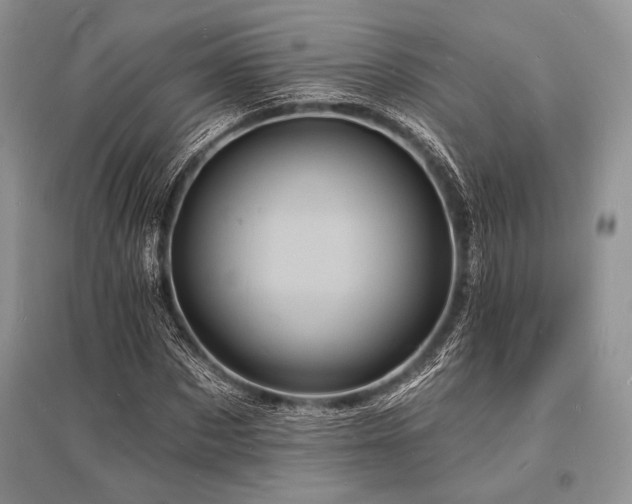 X0000096390873200801241259