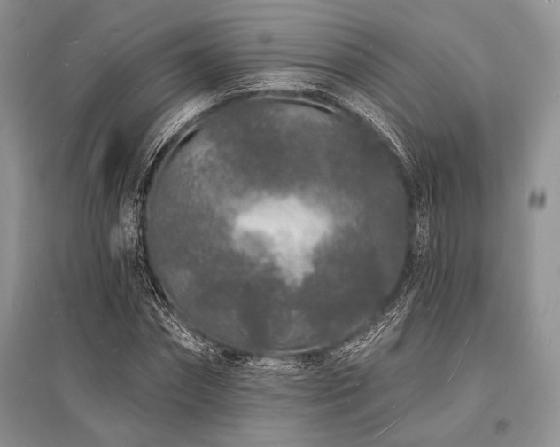X0000096390874200801241259