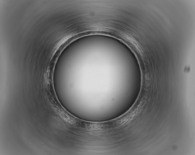X0000096390875200801241259