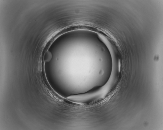 X0000096390877200801241259