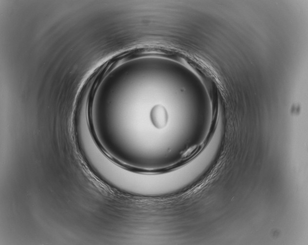 X0000096390880200801241259
