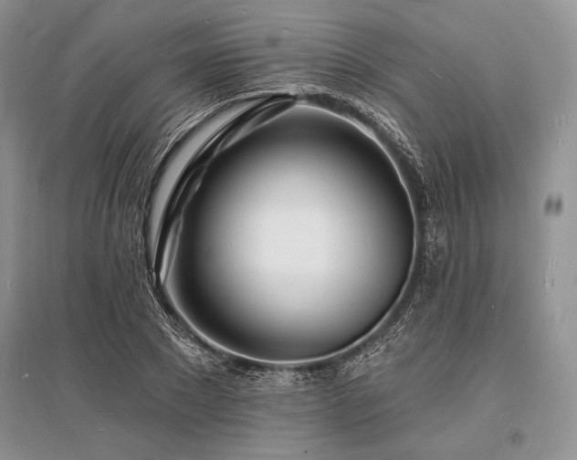 X0000096390881200801241259