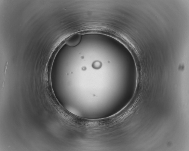 X0000096390883200801241259