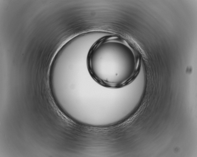 X0000096390884200801241259