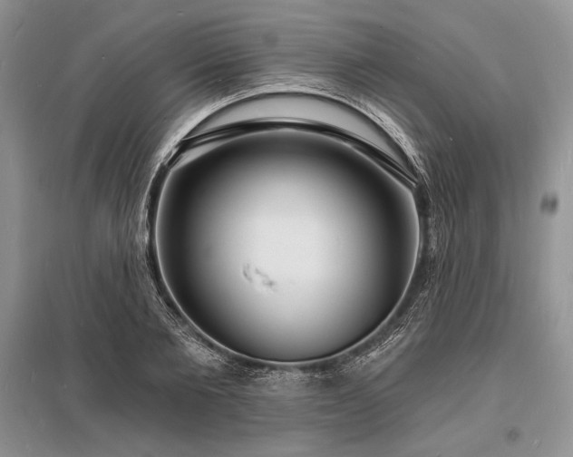 X0000096390885200801241259