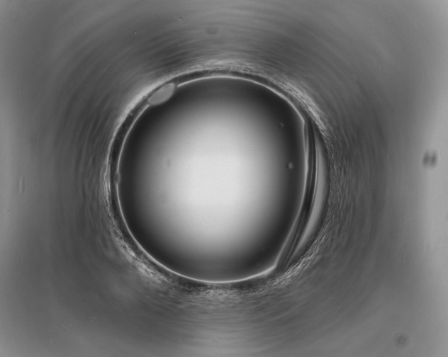 X0000096390888200801241259