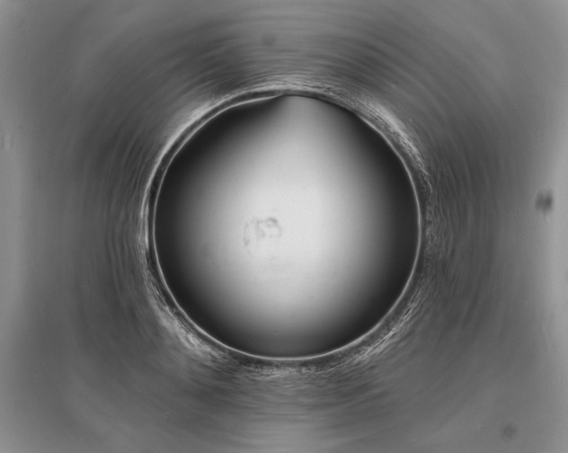 X0000096390892200801241259