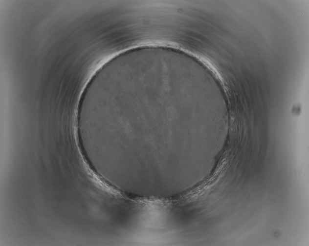 X0000096390895200801241259