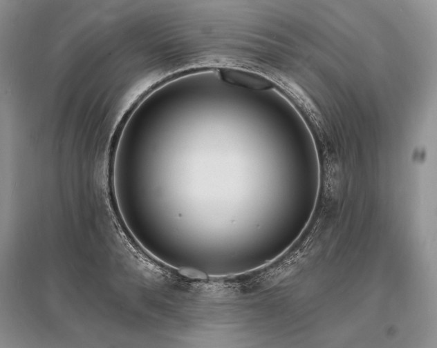 X0000096390896200801241259