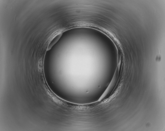 X0000096390897200801241259