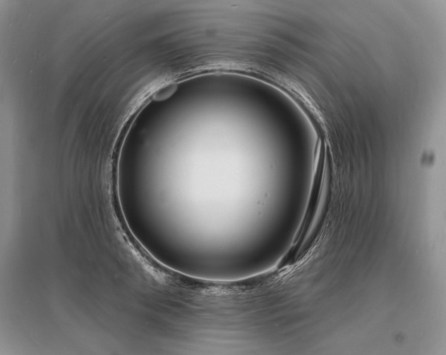 X0000096390898200801241259
