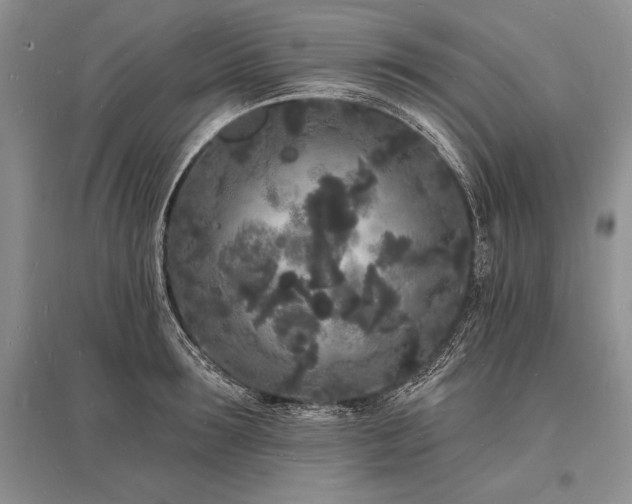 X0000096390899200801241259