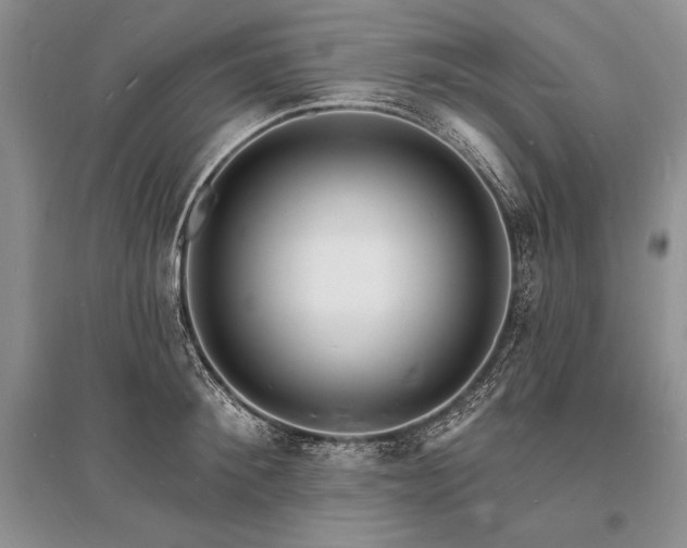 X0000096390900200801241259
