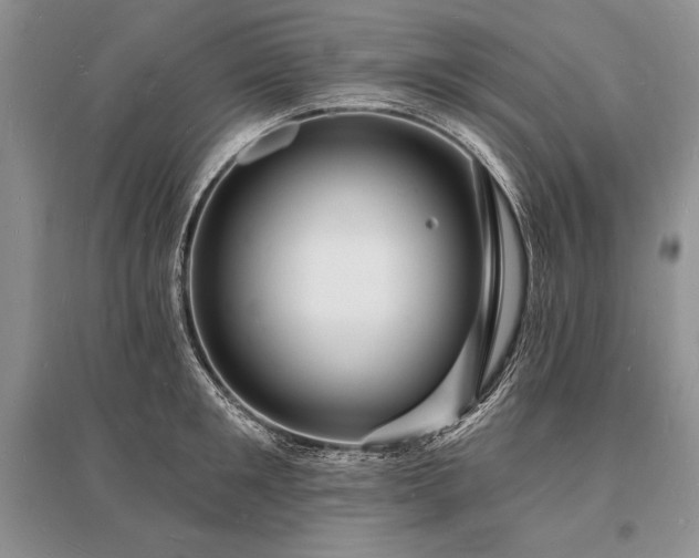 X0000096390901200801241259